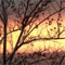 Photo01